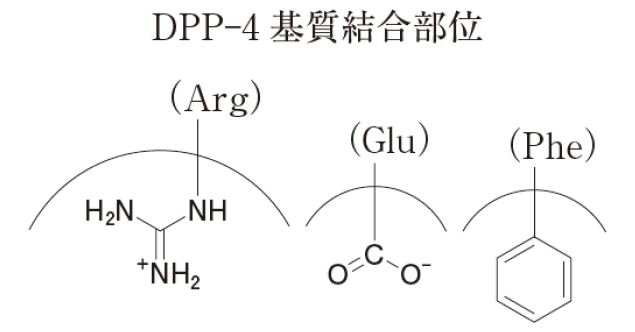 オマリグリプチンの構造 dpp4の基質結合部位との相互作用 106回薬剤師国家試験問211